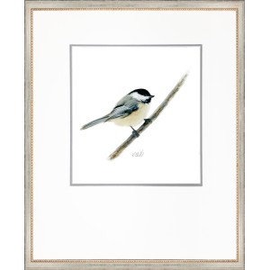 KS- CHICKADEE